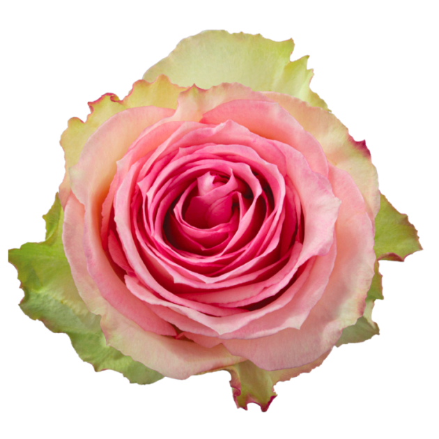 Esperance